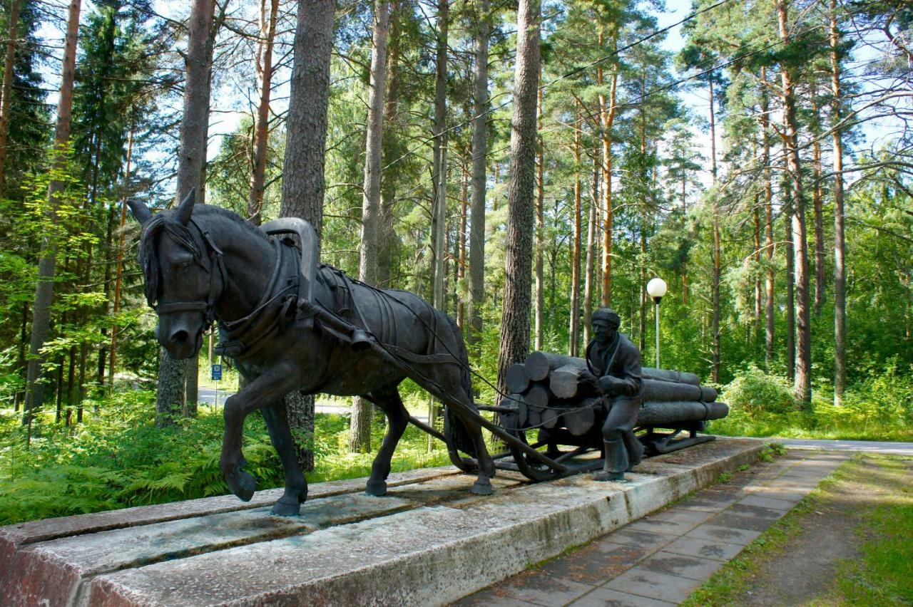 Villa Pankkotupa Yrjo Punkaharju Exterior foto
