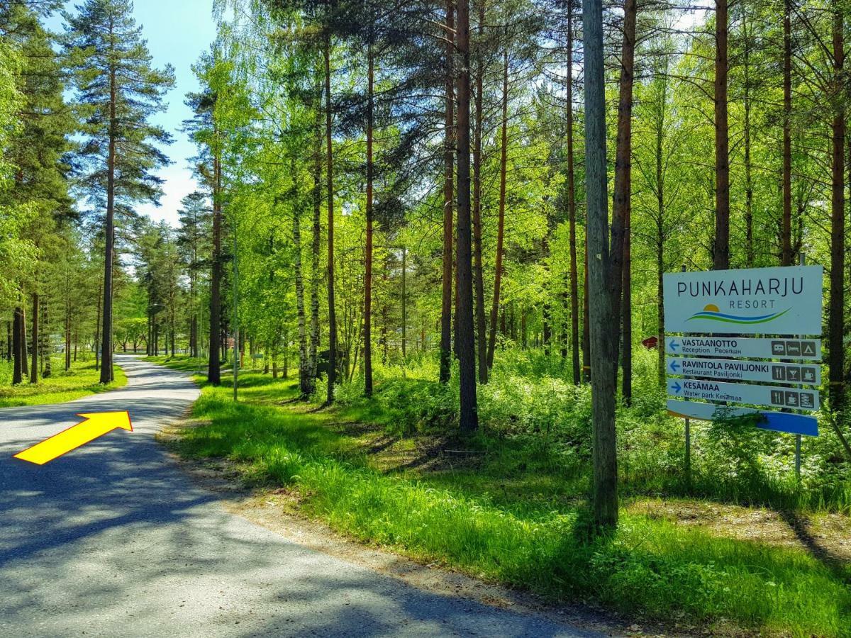 Villa Pankkotupa Yrjo Punkaharju Exterior foto